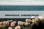 西安美鸿汽配怎么样？ 美鸿鞋业有限公司怎么样？