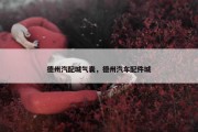 德州汽配城气囊，德州汽车配件城