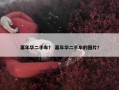 嘉年华二手车？ 嘉年华二手车的图片？