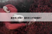 嘉年华二手车？ 嘉年华二手车的图片？