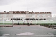 大野驴摩托车，大野驴摩托车多少钱一辆