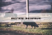 黑龙江广州汽配（黑龙江省汽贸公司）
