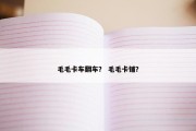 毛毛卡车翻车？ 毛毛卡铺？
