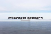汽车轮胎漏气怎么检查（我想看轮胎漏气了）