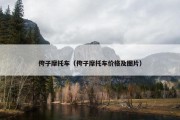 侉子摩托车（侉子摩托车价格及图片）
