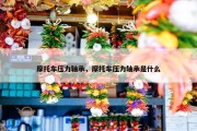 摩托车压力轴承，摩托车压力轴承是什么
