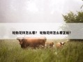 轮胎花纹怎么看？ 轮胎花纹怎么看正反？