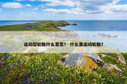 运动型轮胎什么意思？ 什么是运动轮胎？