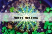 城管皮卡车，城管皮卡车购买
