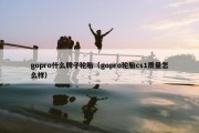 gopro什么牌子轮胎（gopro轮胎cs1质量怎么样）
