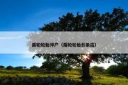 盾轮轮胎停产（盾轮轮胎形象店）