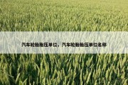 汽车轮胎胎压单位，汽车轮胎胎压单位名称
