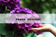 卡车老东风，东风卡车老照片