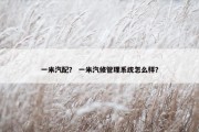 一米汽配？ 一米汽修管理系统怎么样？