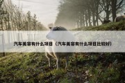汽车美容有什么项目（汽车美容有什么项目比较好）