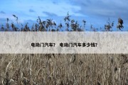 电动门汽车？ 电动门汽车多少钱？