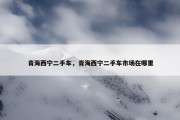 青海西宁二手车，青海西宁二手车市场在哪里
