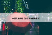 小型汽车摇号（小型汽车摇号申请）
