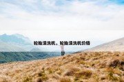 轮胎清洗机，轮胎清洗机价格