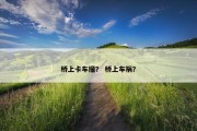 桥上卡车撞？ 桥上车祸？