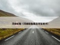 河南轮胎（河南轮胎集团领导班子）