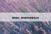 雄风摩托，雄风摩托车质量怎么样