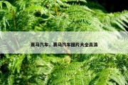 赛马汽车，赛马汽车图片大全高清