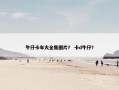 牛仔卡车大全集图片？ 卡d牛仔？