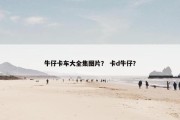 牛仔卡车大全集图片？ 卡d牛仔？