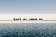 沈阳塔湾二手车，沈阳生哥二手车