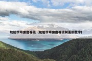 轮胎字母速度等级（轮胎字母速度等级前面的数字）