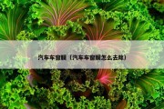 汽车车窗膜（汽车车窗膜怎么去除）