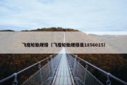 飞度轮胎规格（飞度轮胎规格是1856015）
