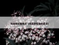 玛吉斯轮胎特点（玛吉斯轮胎的优点）