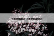 玛吉斯轮胎特点（玛吉斯轮胎的优点）