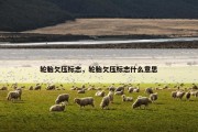 轮胎欠压标志，轮胎欠压标志什么意思