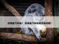 舒城县汽车站？ 舒城县汽车站有没有按摩？
