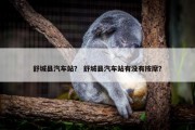 舒城县汽车站？ 舒城县汽车站有没有按摩？