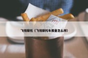 飞翎摩托（飞翎摩托车质量怎么样）