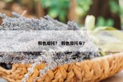 粉色摩托？ 粉色摩托车？