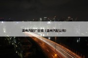 温州汽配厂日结（温州汽配公司）