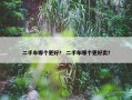 二手车哪个更好？ 二手车哪个更好卖？