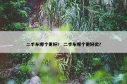 二手车哪个更好？ 二手车哪个更好卖？