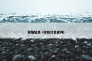 轮胎信息（轮胎信息查询）