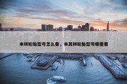 米林轮胎型号怎么看，米其林轮胎型号哪里看