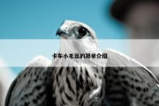 卡车小毛豆的简单介绍