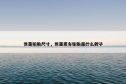 世嘉轮胎尺寸，世嘉原车轮胎是什么牌子