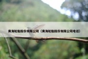 黄海轮胎股份有限公司（黄海轮胎股份有限公司电话）