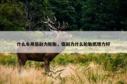 什么车用倍耐力轮胎，倍耐力什么轮胎抓地力好
