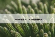 175r14轮胎（175r14轮胎图片）